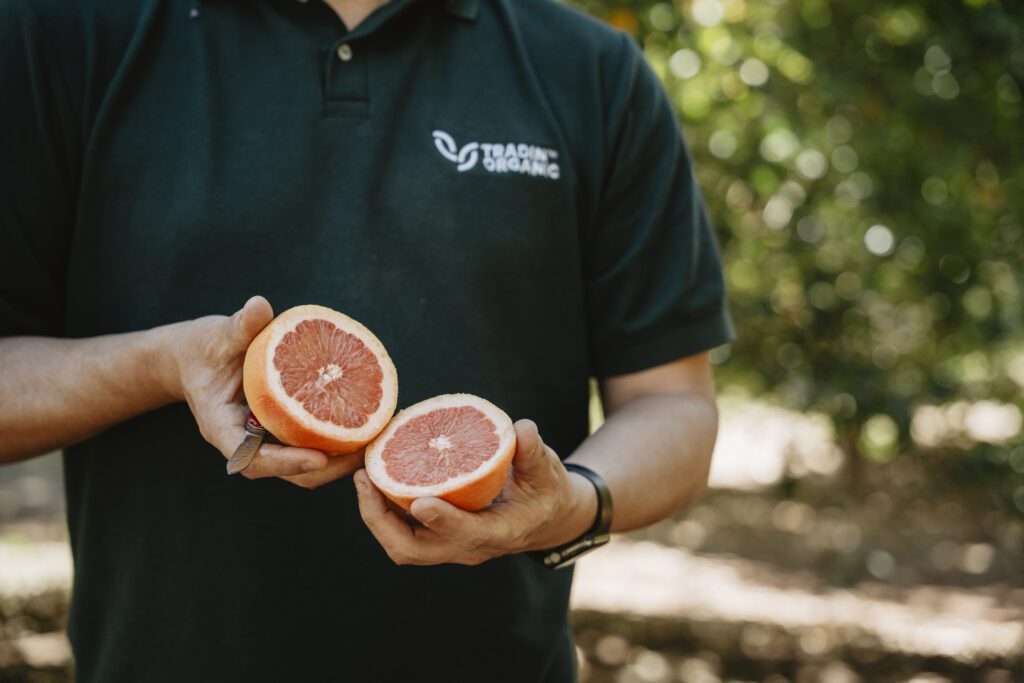 Tradin Organic